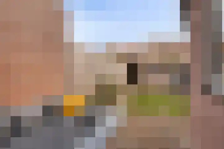 Moerdijkstraat 9 Eindhoven thumbnail 33