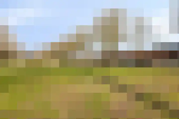 Moerdijkstraat 9 Eindhoven thumbnail 40