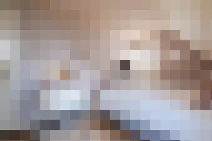 Moerdijkstraat 9 Eindhoven thumbnail 9