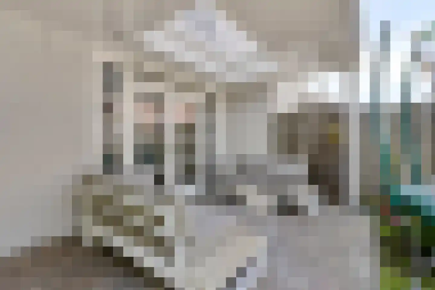 Moerdonksvoort 21 Helmond thumbnail 21