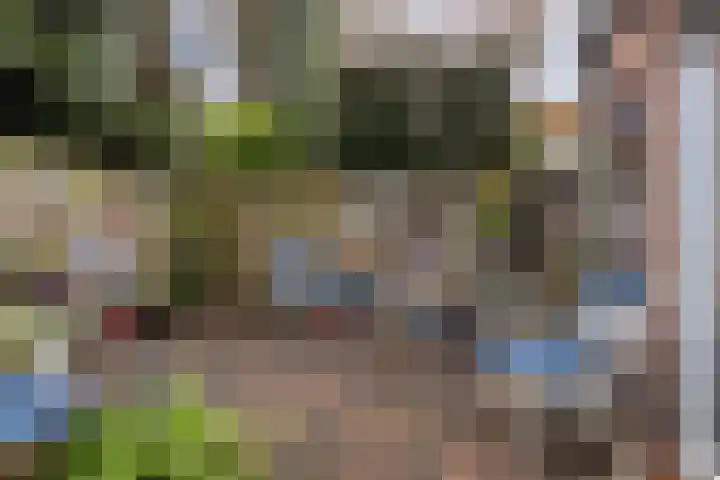 Moeregrebstraat 23 Bergen op Zoom thumbnail 31