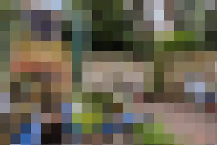 Moeregrebstraat 23 Bergen op Zoom thumbnail 33