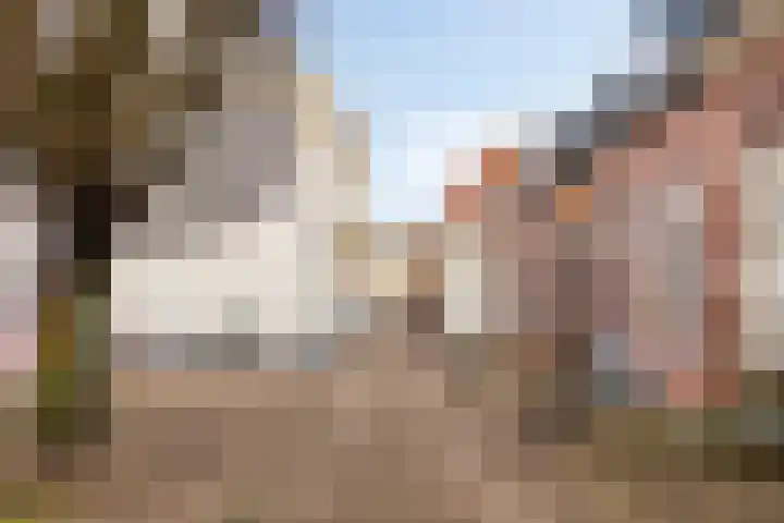 Moeregrebstraat 23 Bergen op Zoom thumbnail 38
