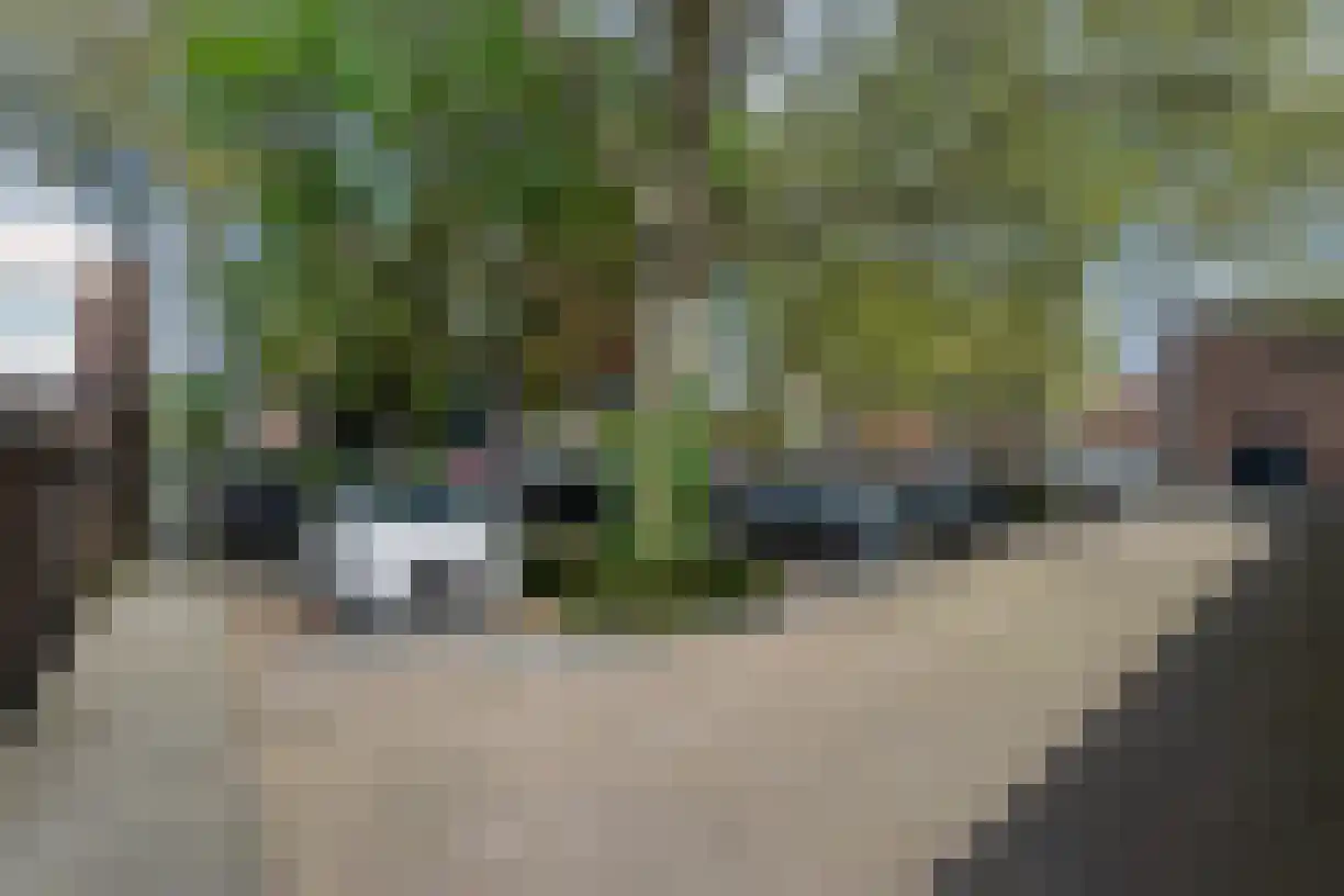Moeregrebstraat 40 Bergen op Zoom thumbnail 22