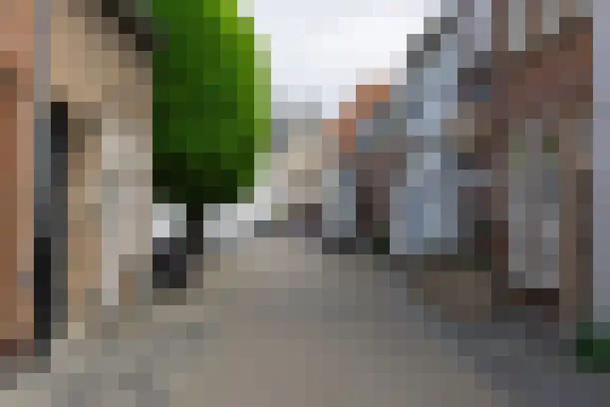 Moeregrebstraat 40 Bergen op Zoom thumbnail 26