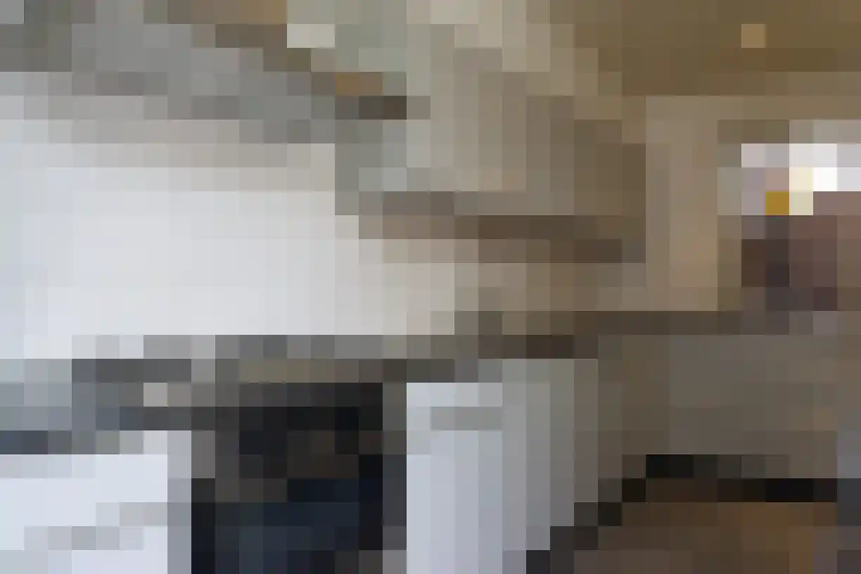Moeregrebstraat 40 Bergen op Zoom thumbnail 8