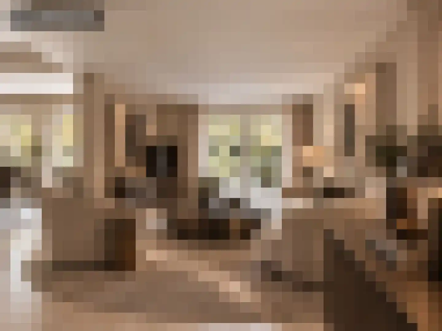 Moergestelseweg 107 Oisterwijk thumbnail 16