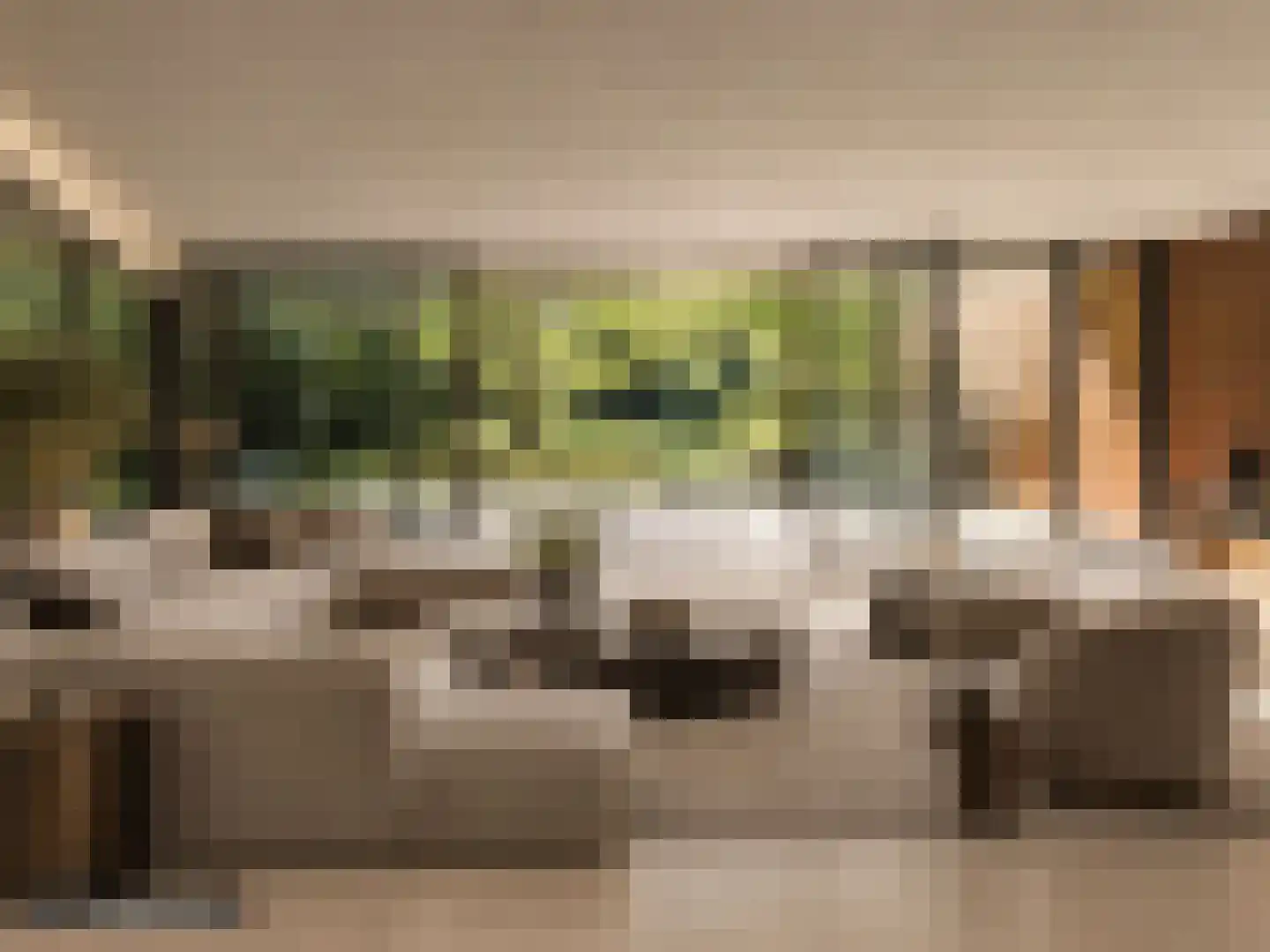 Moergestelseweg 107 Oisterwijk thumbnail 20