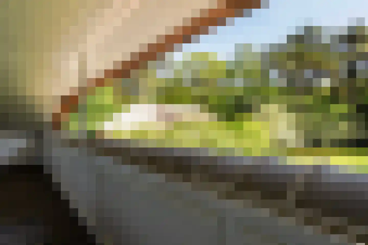 Moergestelseweg 107 Oisterwijk thumbnail 29