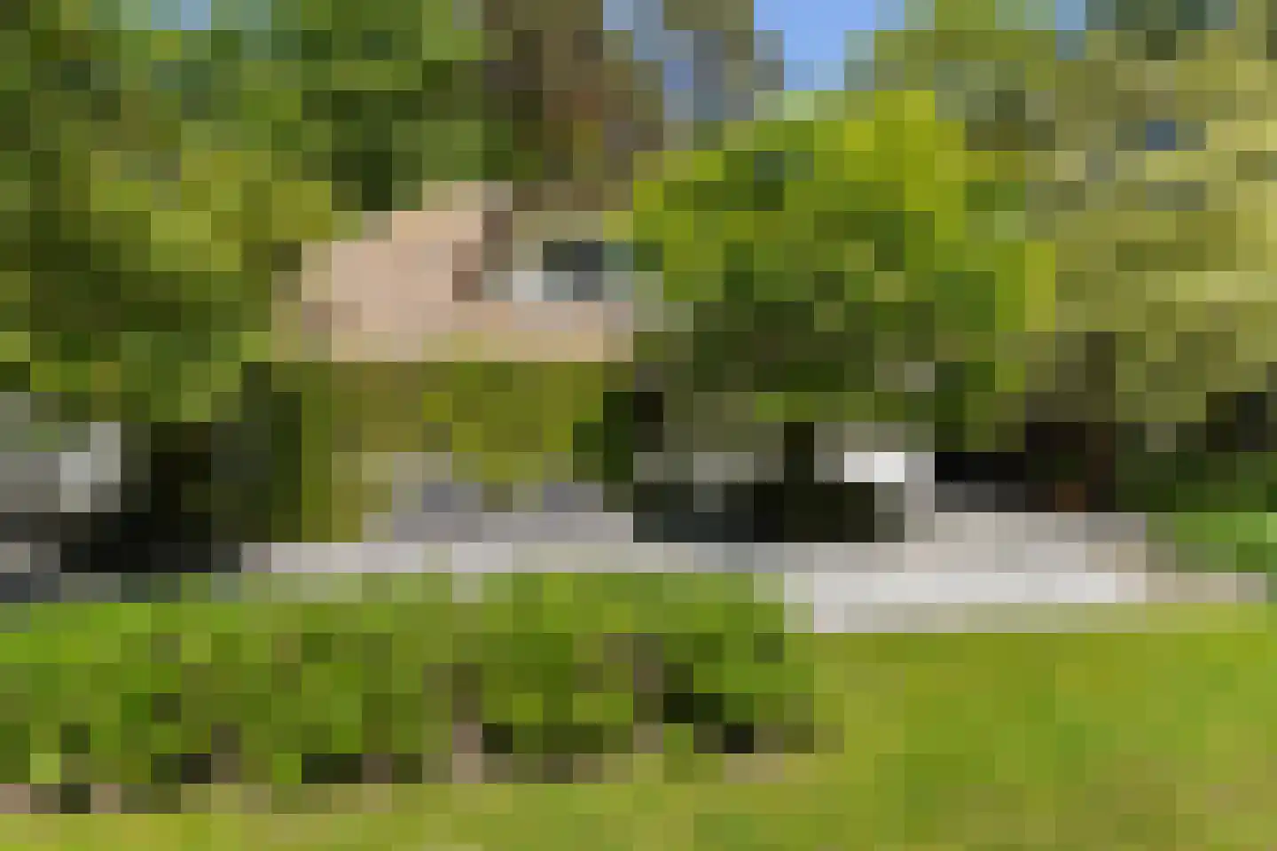 Moergestelseweg 107 Oisterwijk thumbnail 36