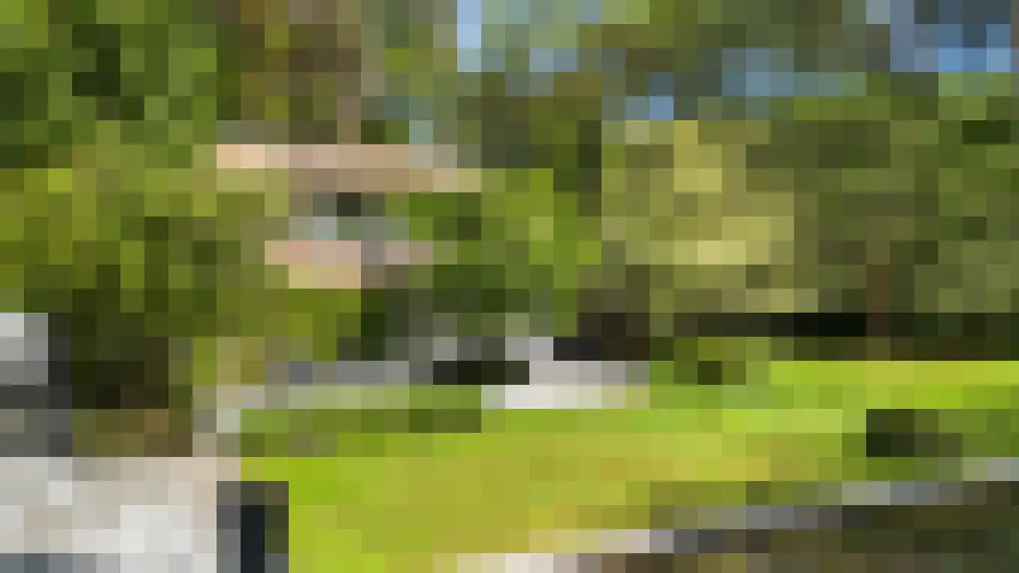 Moergestelseweg 107 Oisterwijk thumbnail 37