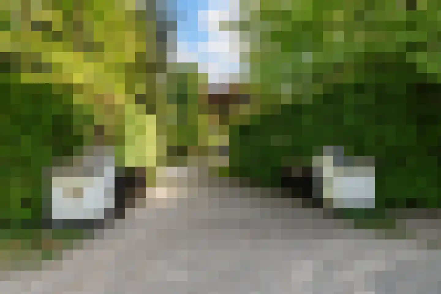 Moergestelseweg 107 Oisterwijk thumbnail 4