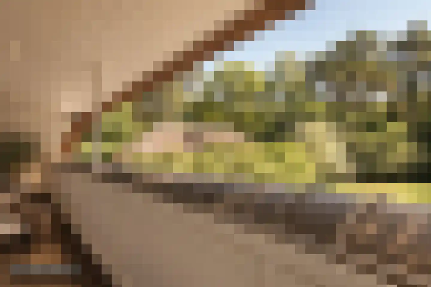 Moergestelseweg 107 Oisterwijk thumbnail 41