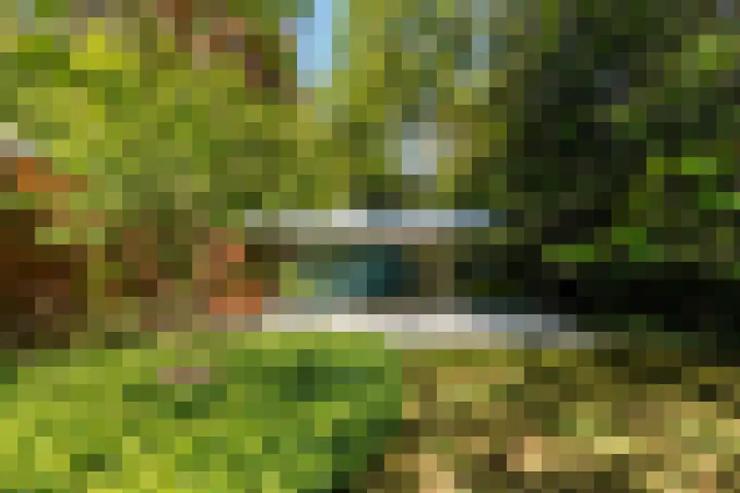 Moergestelseweg 107 Oisterwijk thumbnail 47