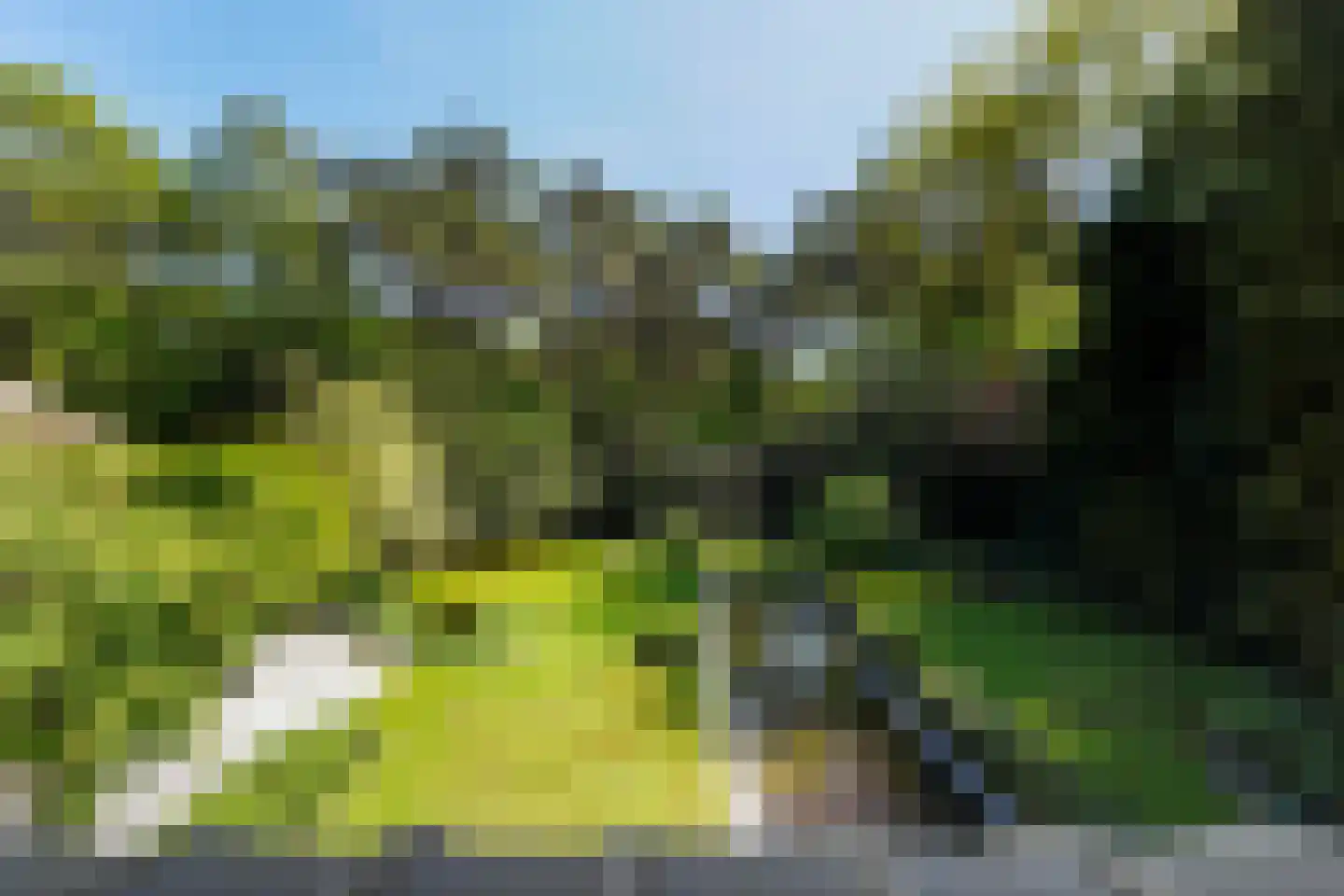 Moergestelseweg 107 Oisterwijk thumbnail 49