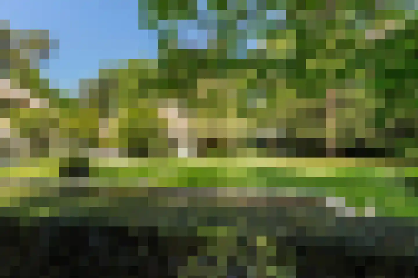 Moergestelseweg 107 Oisterwijk thumbnail 53