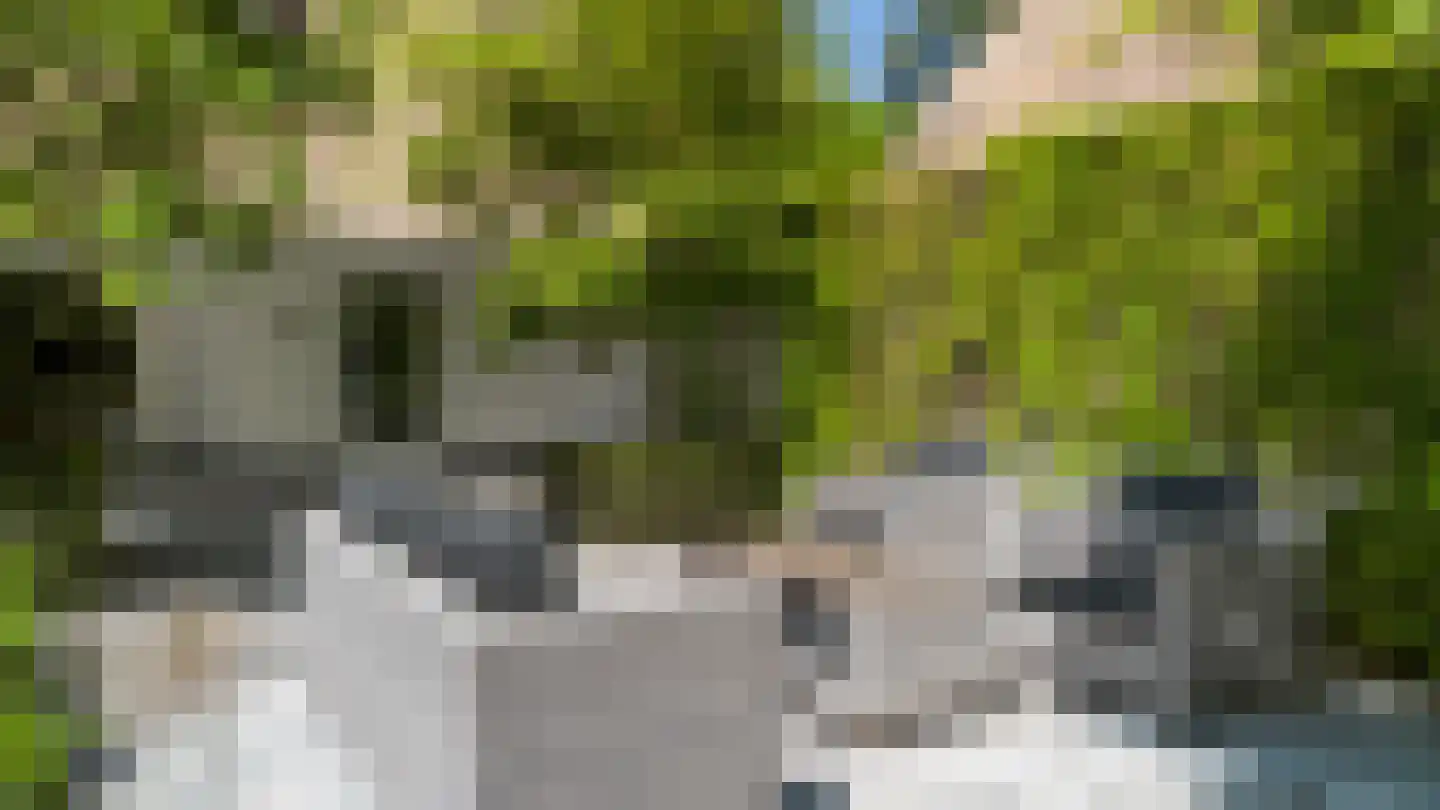 Moergestelseweg 107 Oisterwijk thumbnail 56
