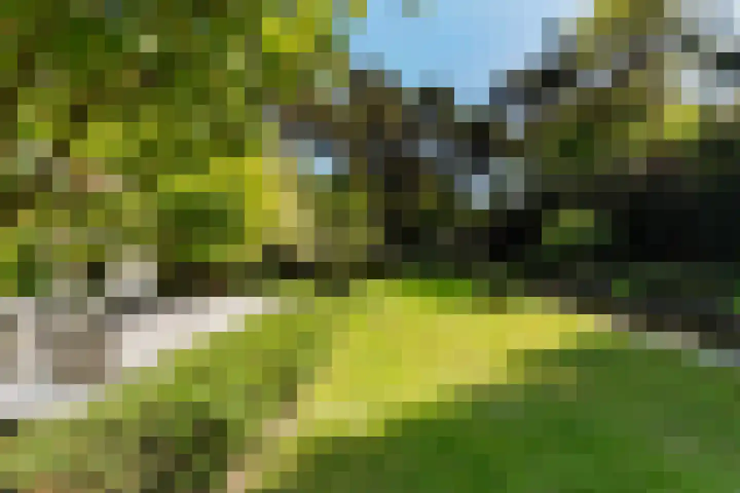 Moergestelseweg 107 Oisterwijk thumbnail 57