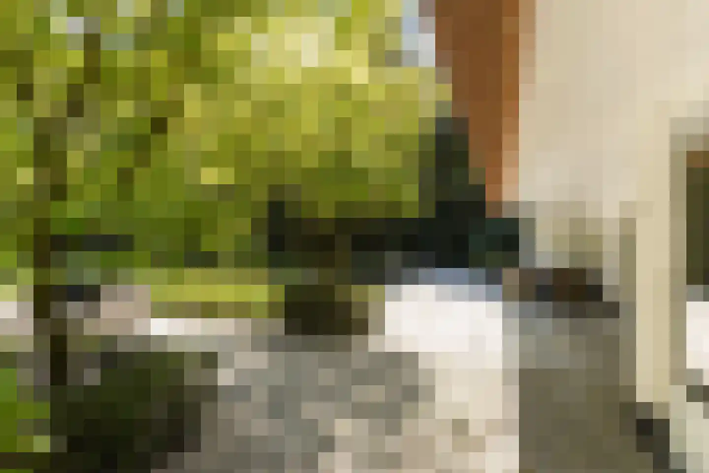 Moergestelseweg 107 Oisterwijk thumbnail 58