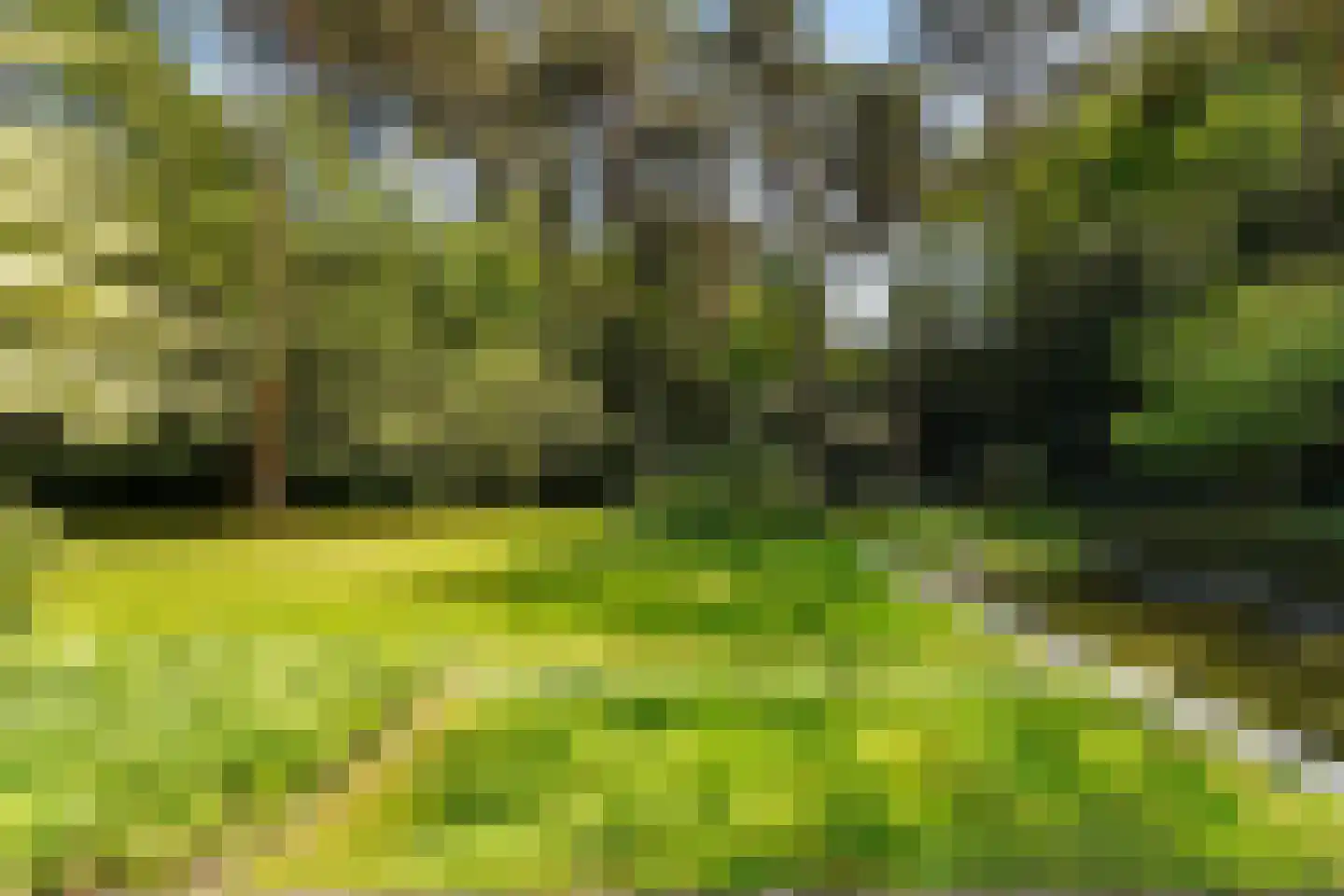 Moergestelseweg 107 Oisterwijk thumbnail 59