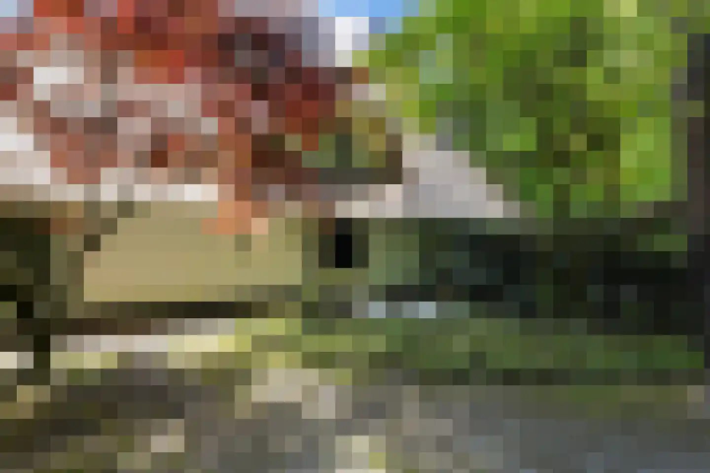 Moergestelseweg 107 Oisterwijk thumbnail 6