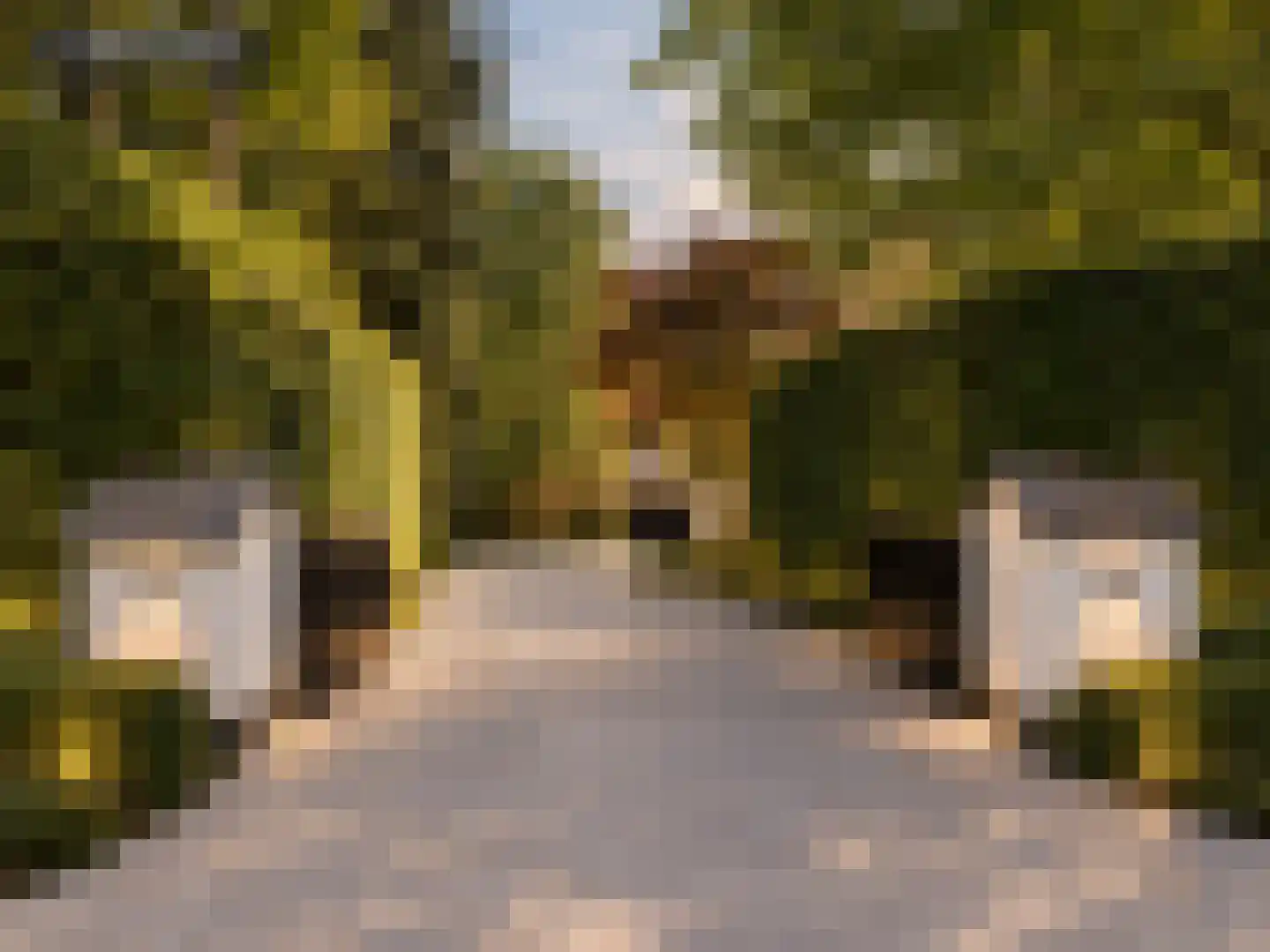Moergestelseweg 107 Oisterwijk thumbnail 6