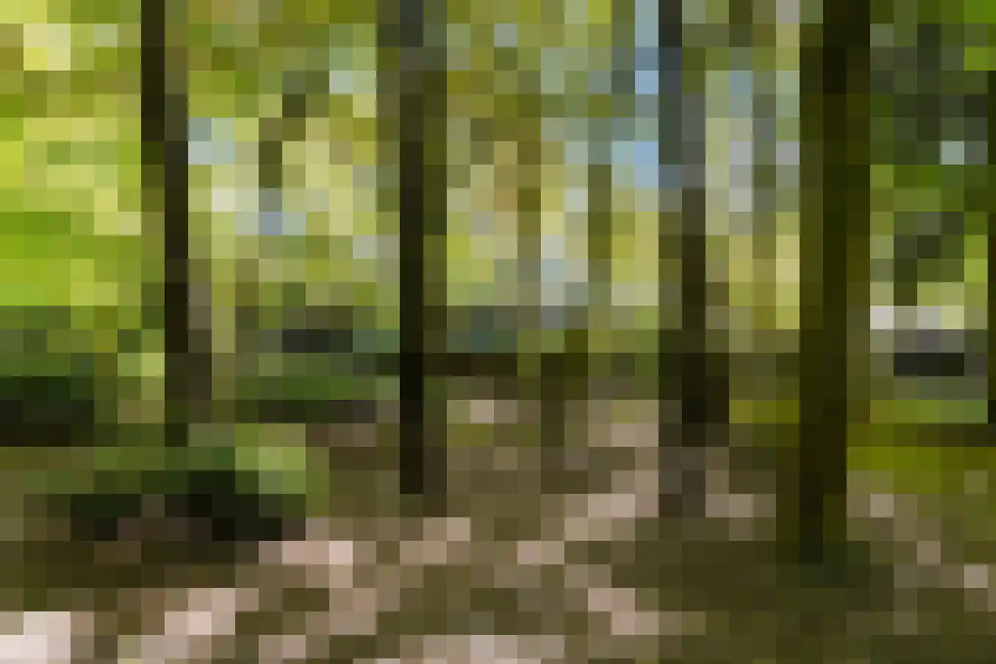Moergestelseweg 107 Oisterwijk thumbnail 60