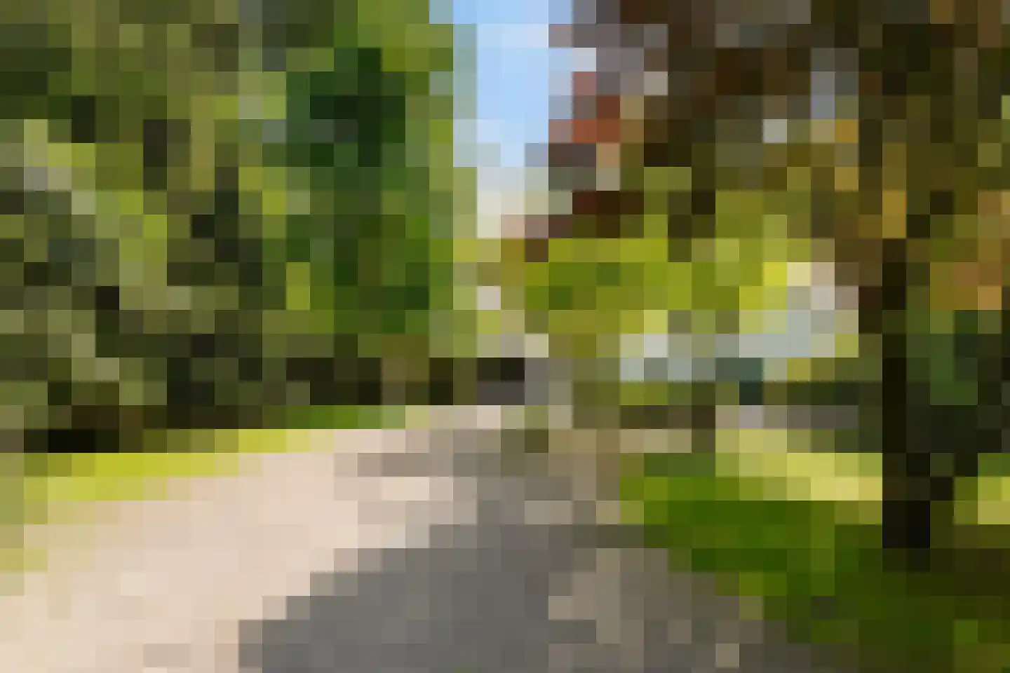 Moergestelseweg 107 Oisterwijk thumbnail 61