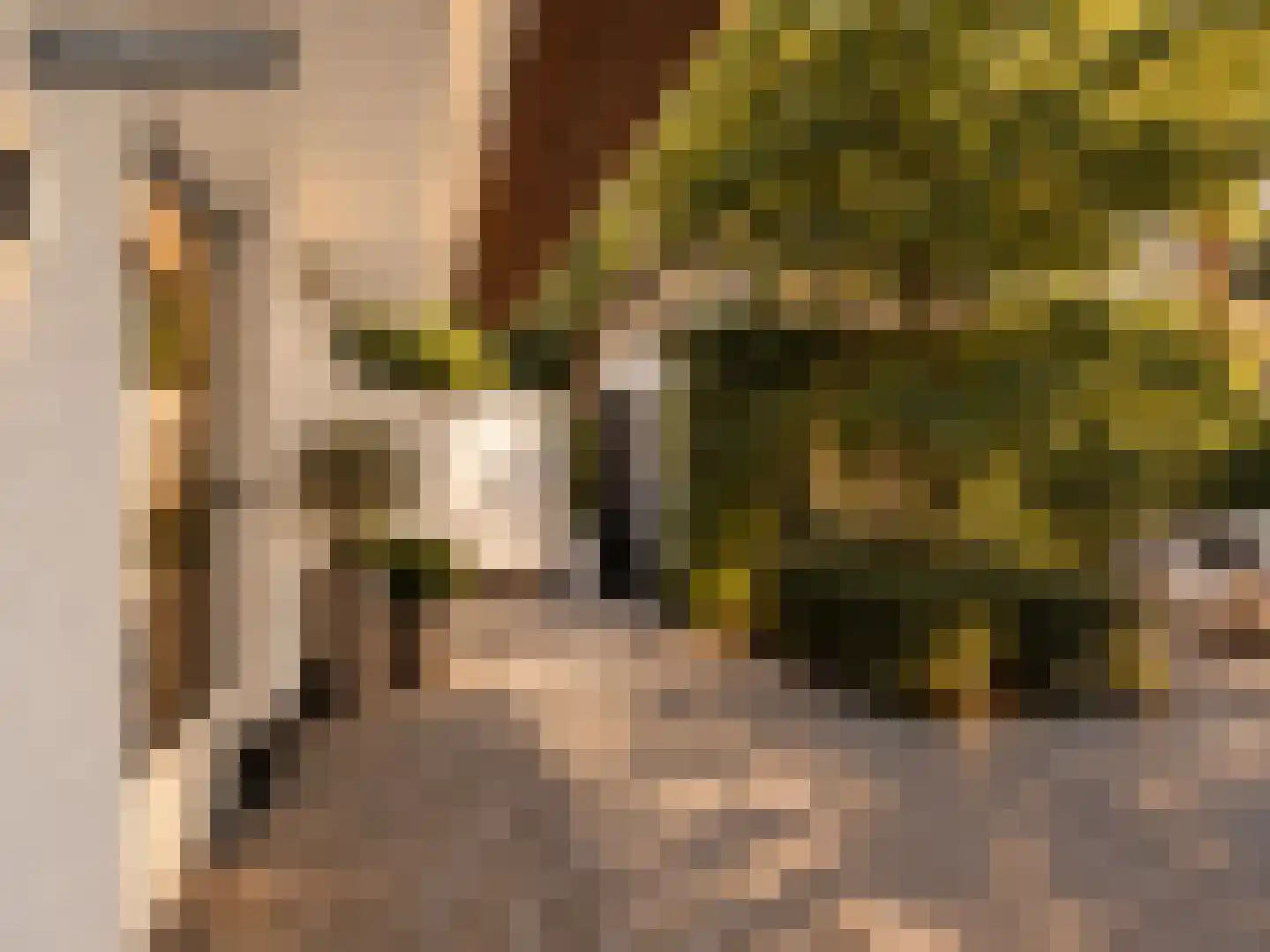 Moergestelseweg 107 Oisterwijk thumbnail 63