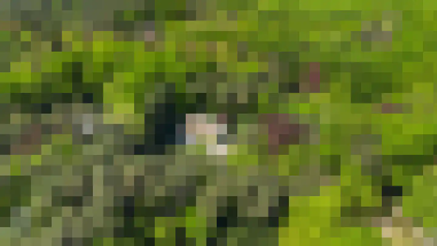 Moergestelseweg 107 Oisterwijk thumbnail 65