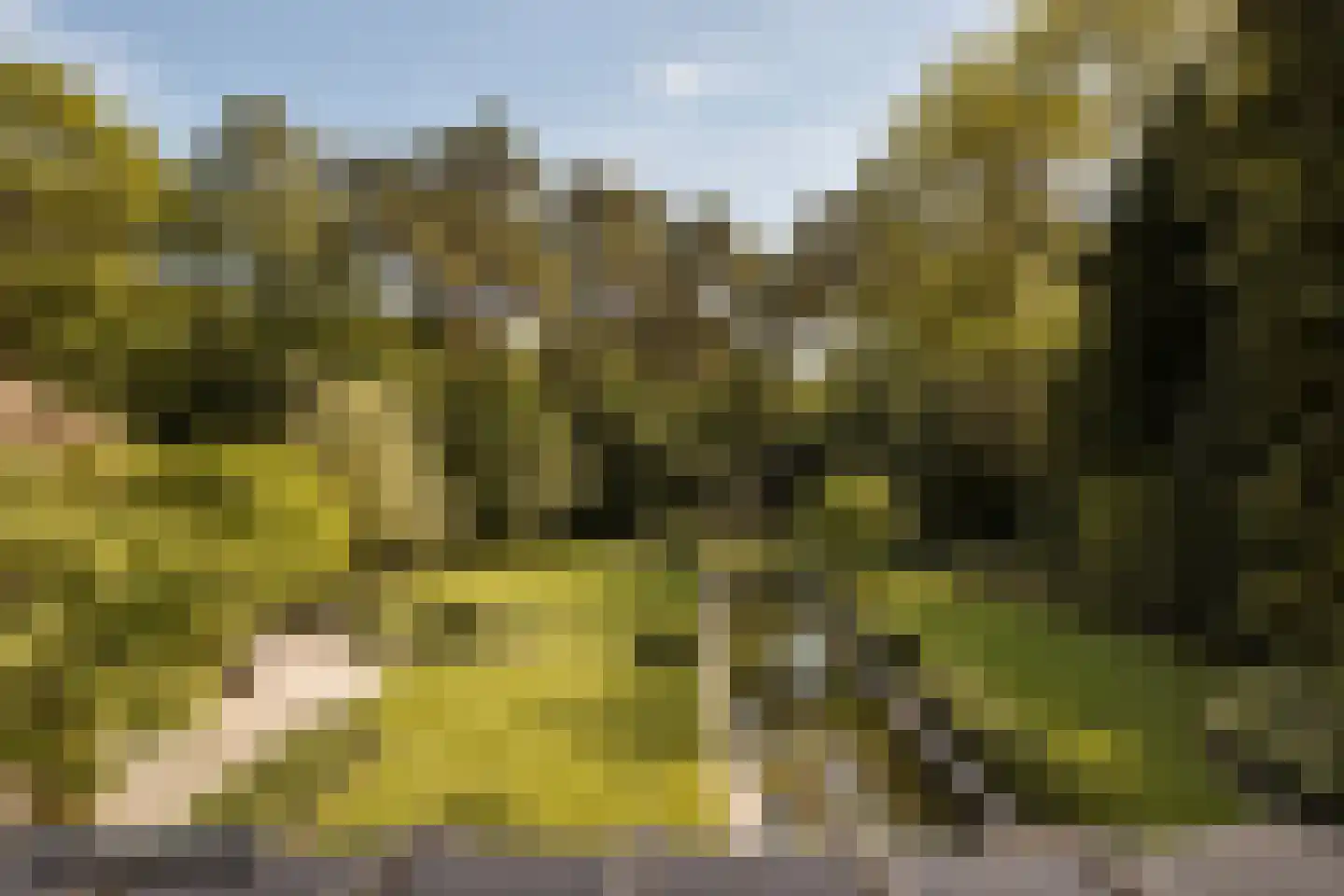 Moergestelseweg 107 Oisterwijk thumbnail 66