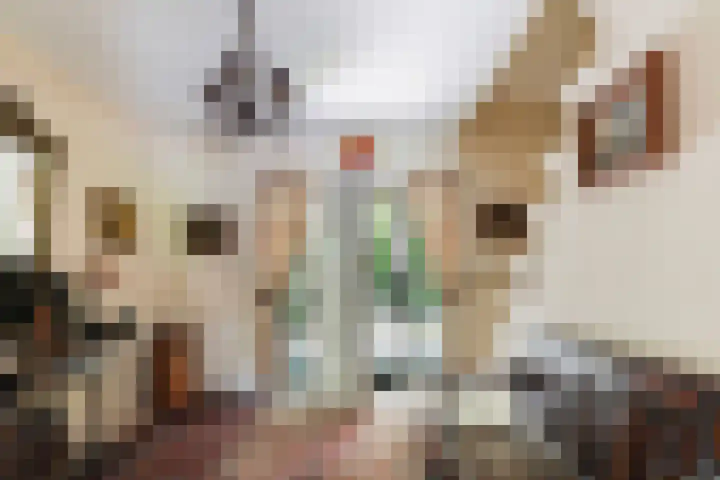 Moergestelseweg 107 Oisterwijk thumbnail 7
