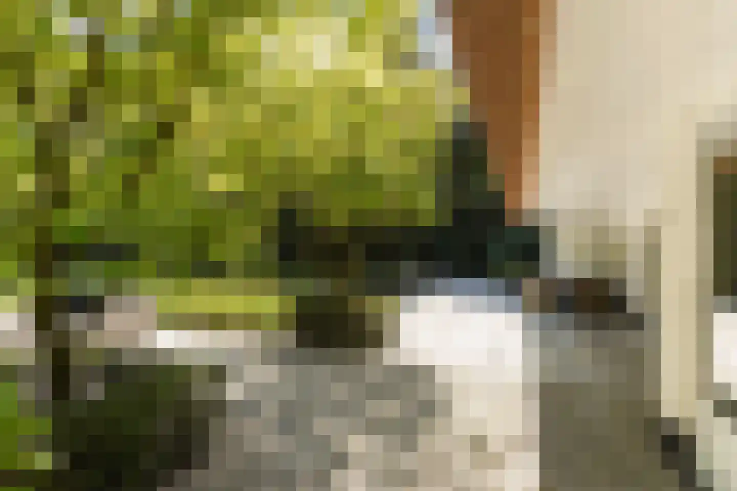 Moergestelseweg 107 Oisterwijk thumbnail 75