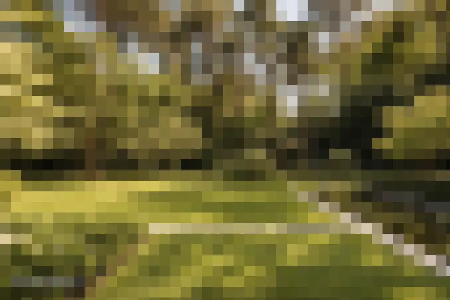 Moergestelseweg 107 Oisterwijk thumbnail 77