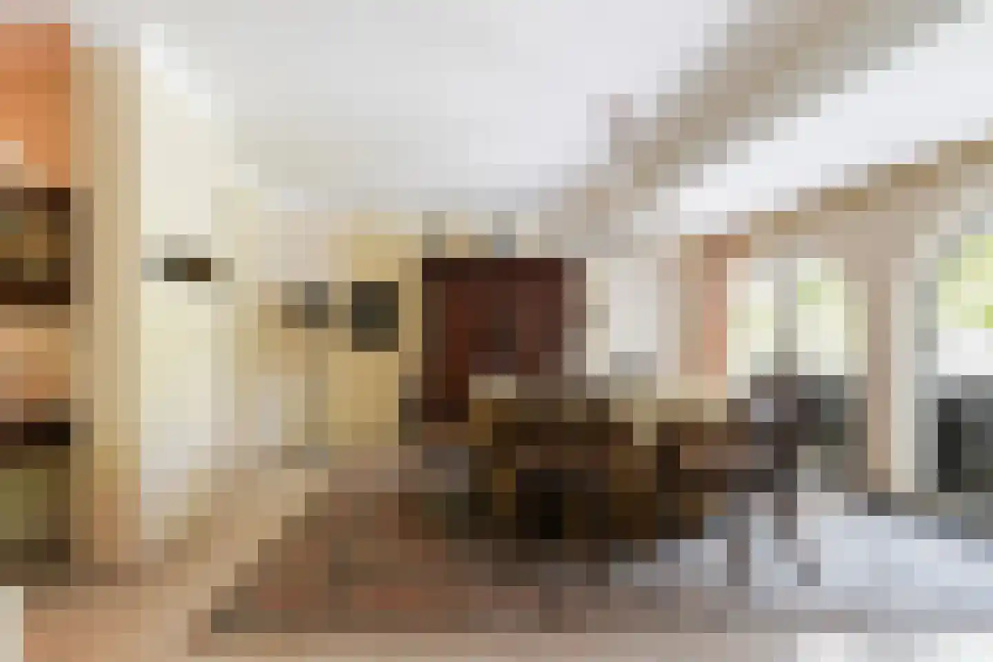 Moergestelseweg 107 Oisterwijk thumbnail 8