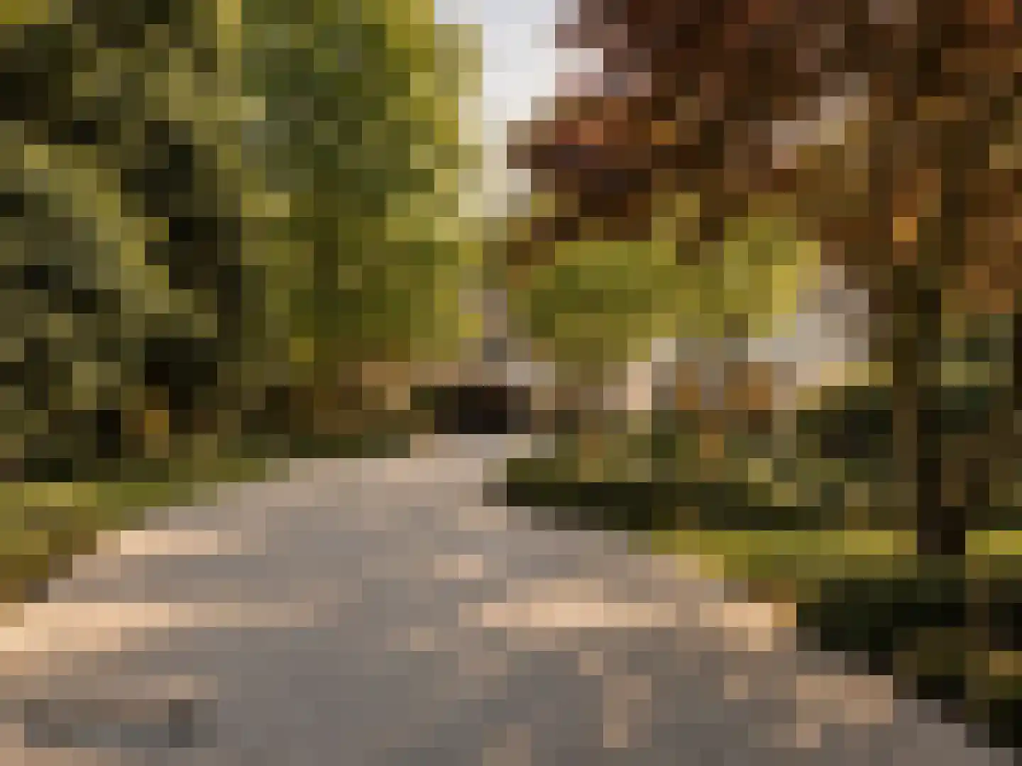 Moergestelseweg 107 Oisterwijk thumbnail 80