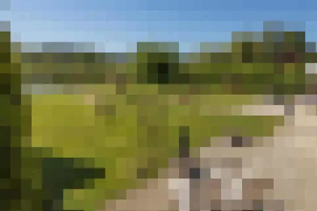 Moergestelseweg 121 A Oisterwijk thumbnail 26