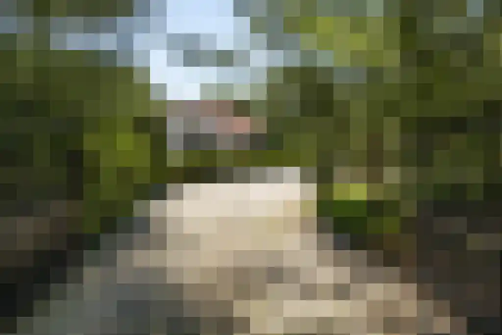 Moergestelseweg 121 A Oisterwijk thumbnail 32