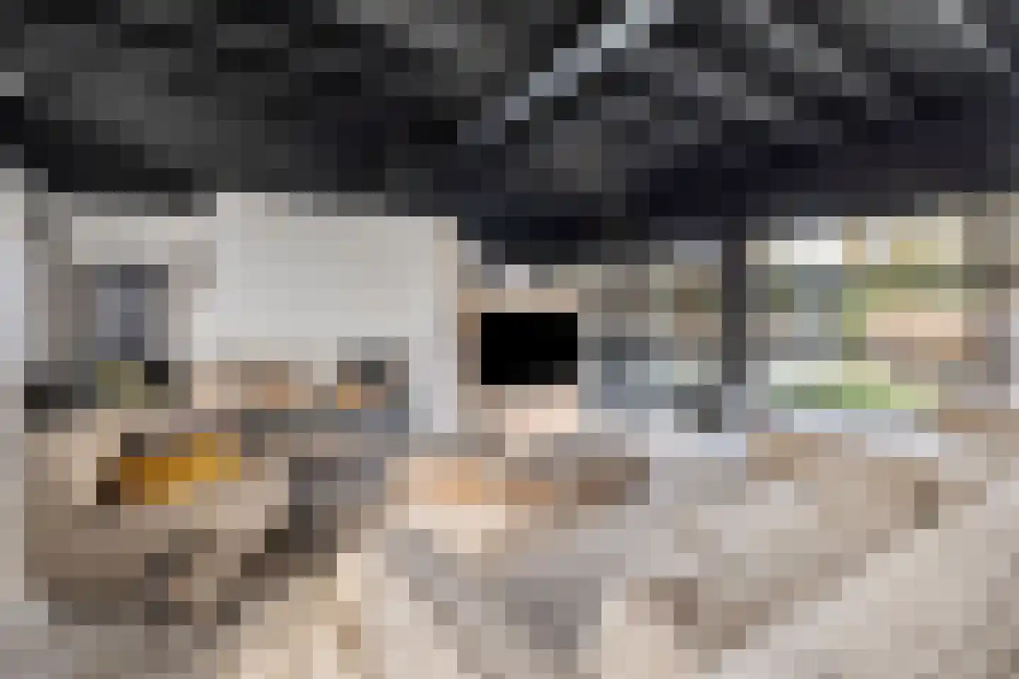 Moergestelseweg 7 Oisterwijk thumbnail 11