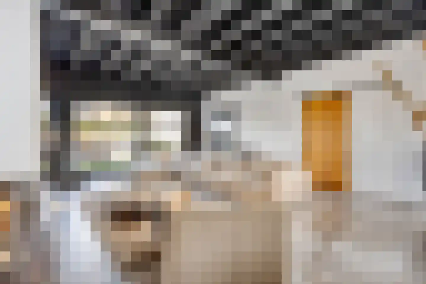 Moergestelseweg 7 Oisterwijk thumbnail 14