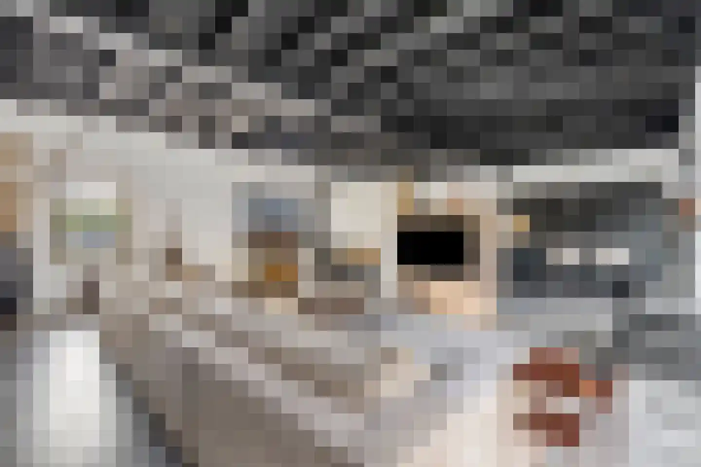 Moergestelseweg 7 Oisterwijk thumbnail 16