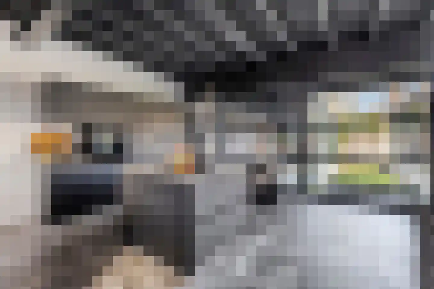 Moergestelseweg 7 Oisterwijk thumbnail 21