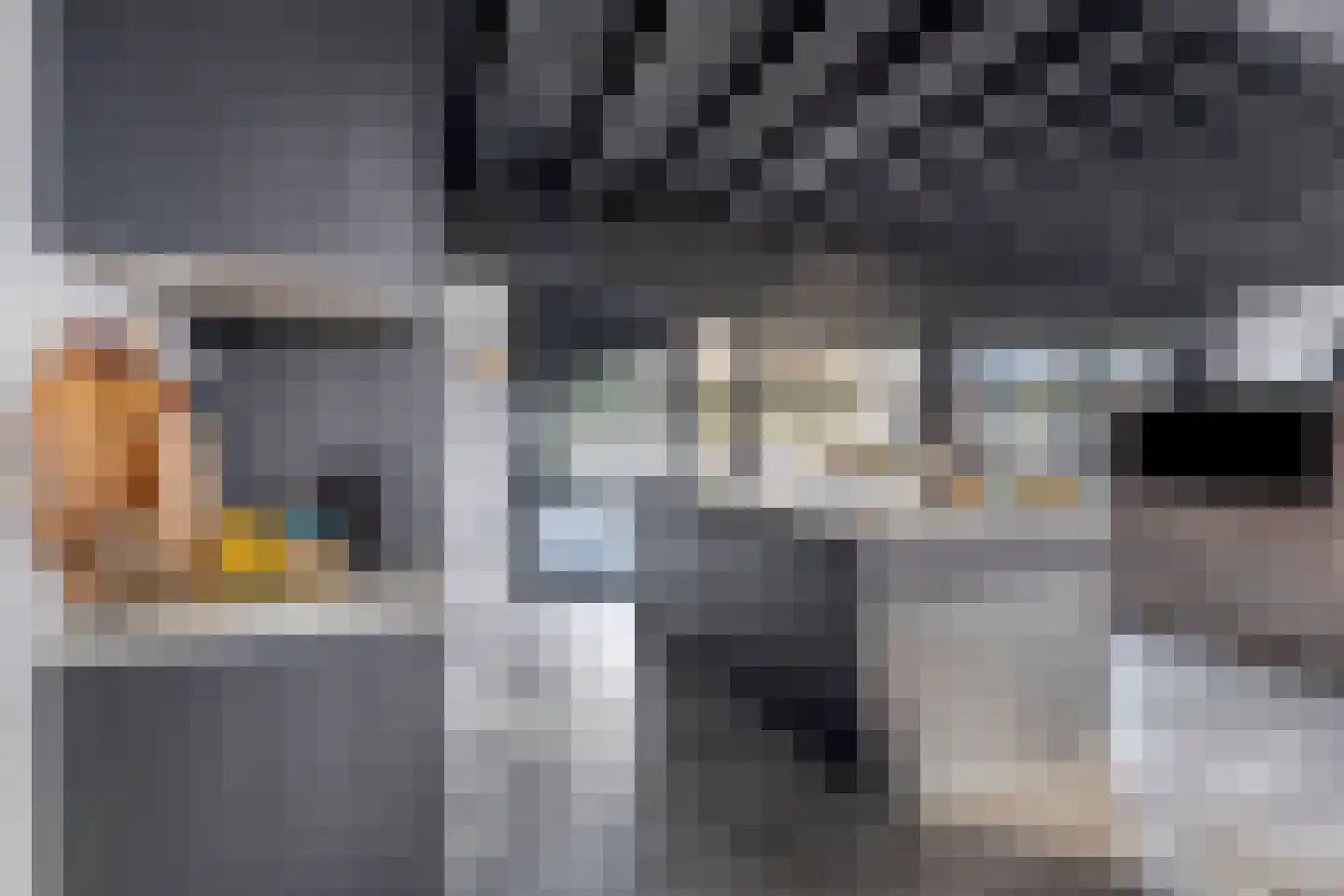 Moergestelseweg 7 Oisterwijk thumbnail 22