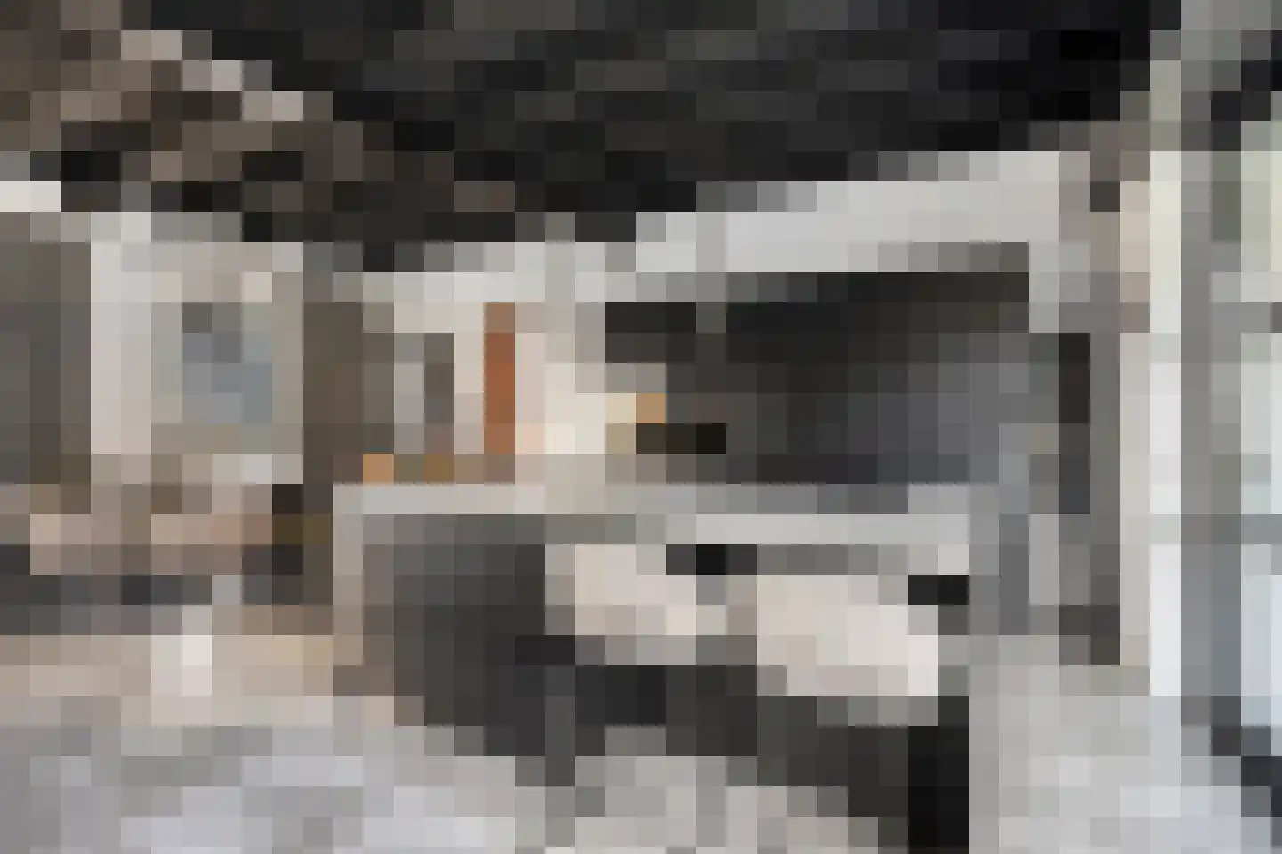 Moergestelseweg 7 Oisterwijk thumbnail 23