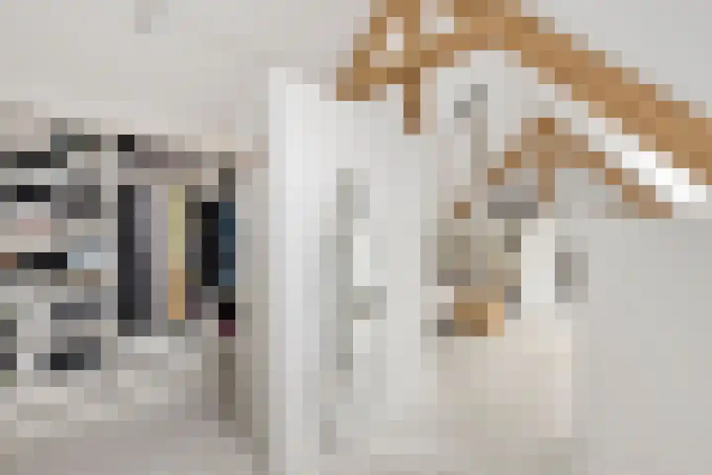 Moergestelseweg 7 Oisterwijk thumbnail 30