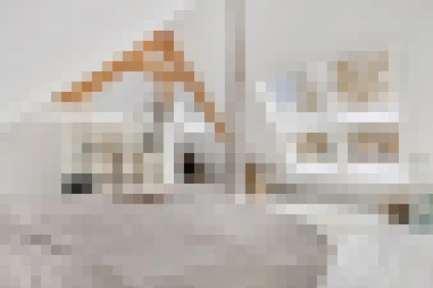 Moergestelseweg 7 Oisterwijk thumbnail 32