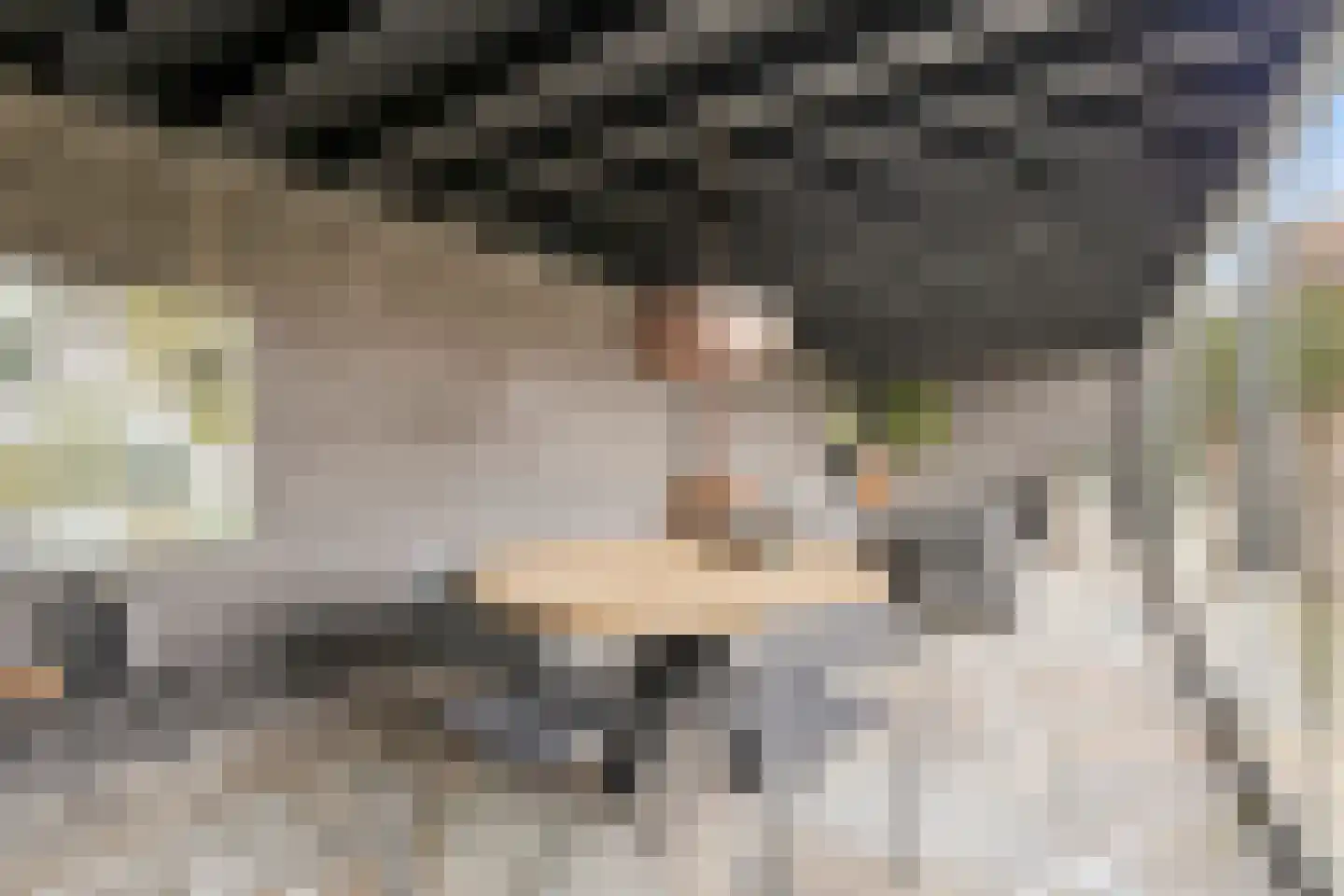 Moergestelseweg 7 Oisterwijk thumbnail 43