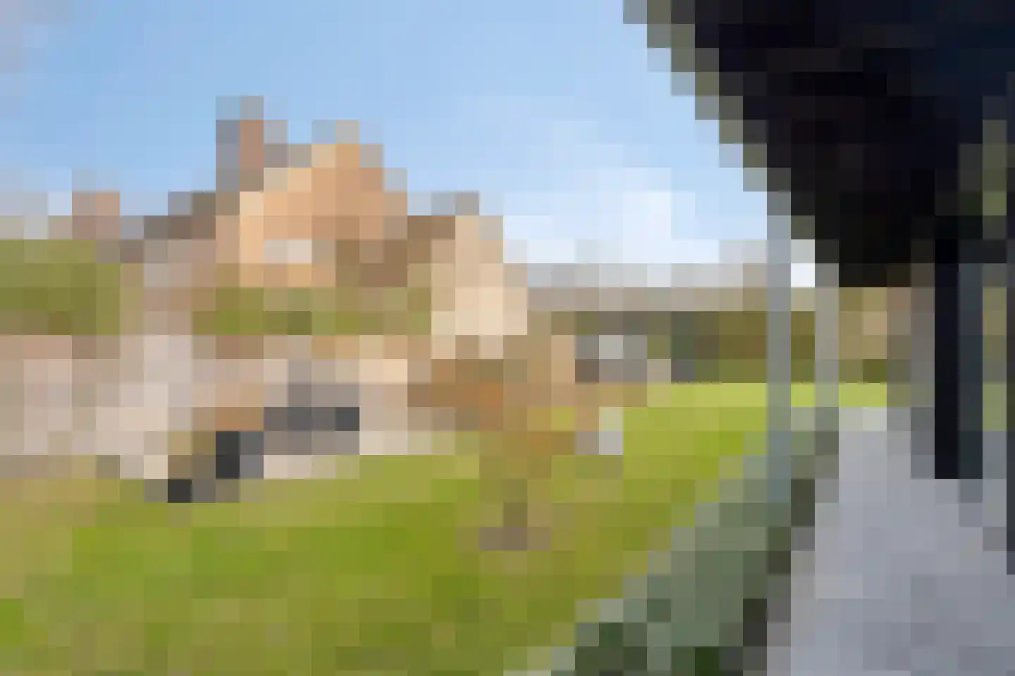 Moergestelseweg 7 Oisterwijk thumbnail 47