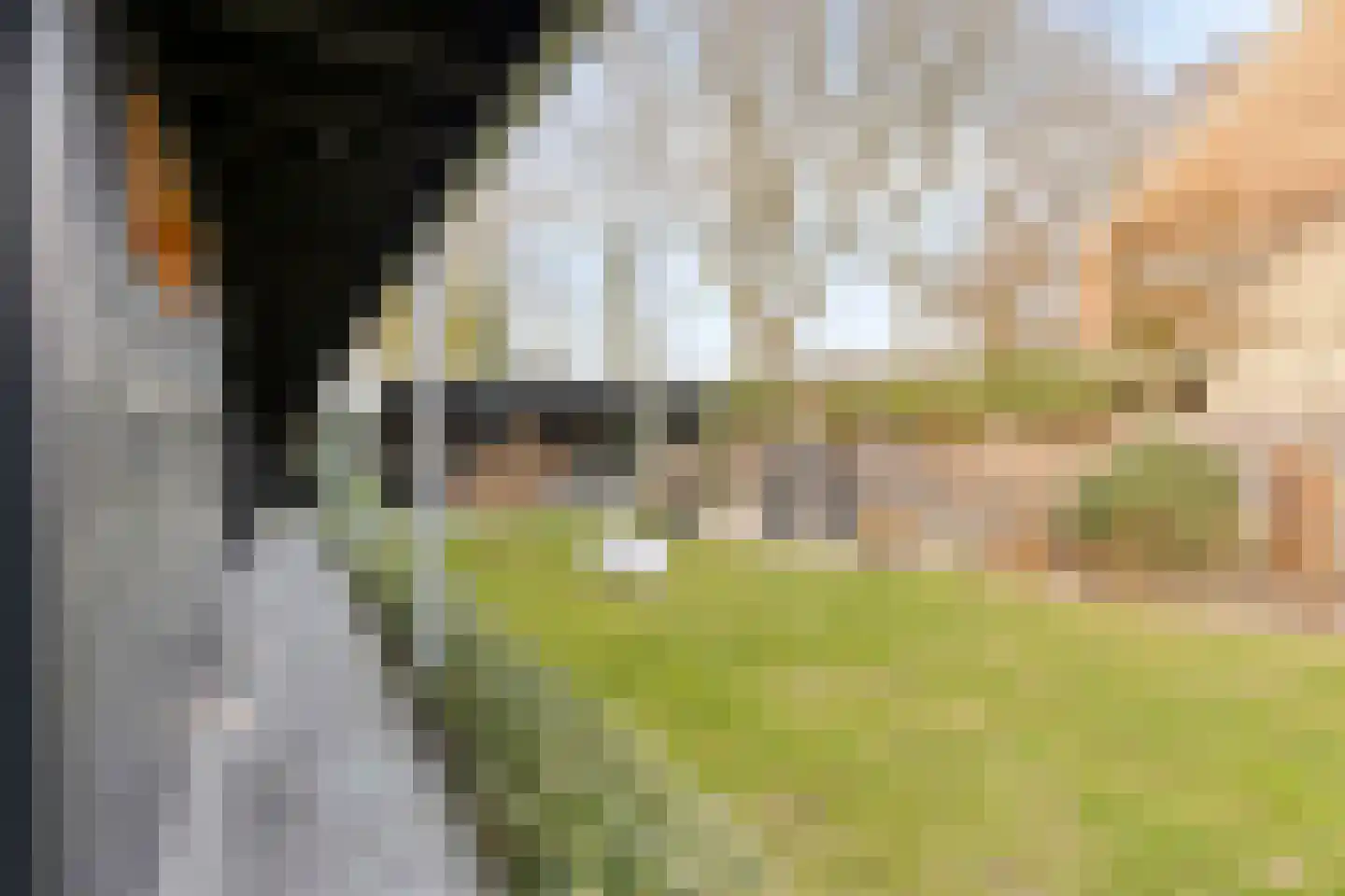 Moergestelseweg 7 Oisterwijk thumbnail 48