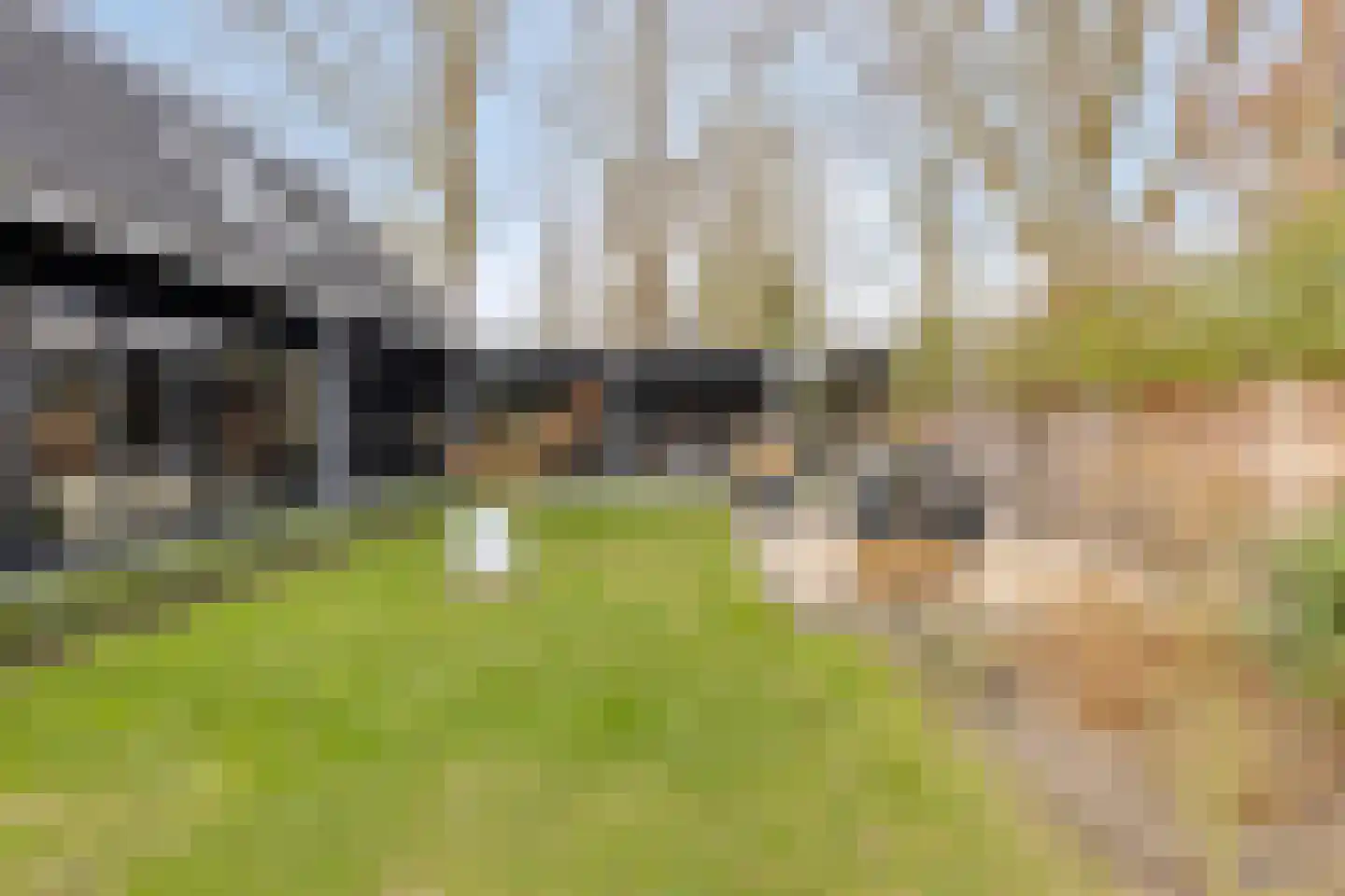 Moergestelseweg 7 Oisterwijk thumbnail 49